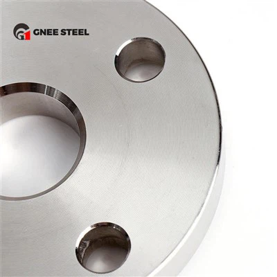 Flangia di saldatura piatta in acciaio inossidabile SS316 Dn100